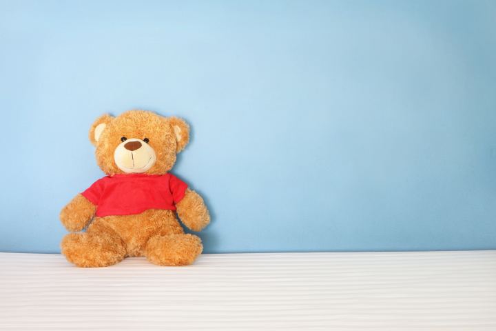 Teddy Bear On A Blue Wall Background