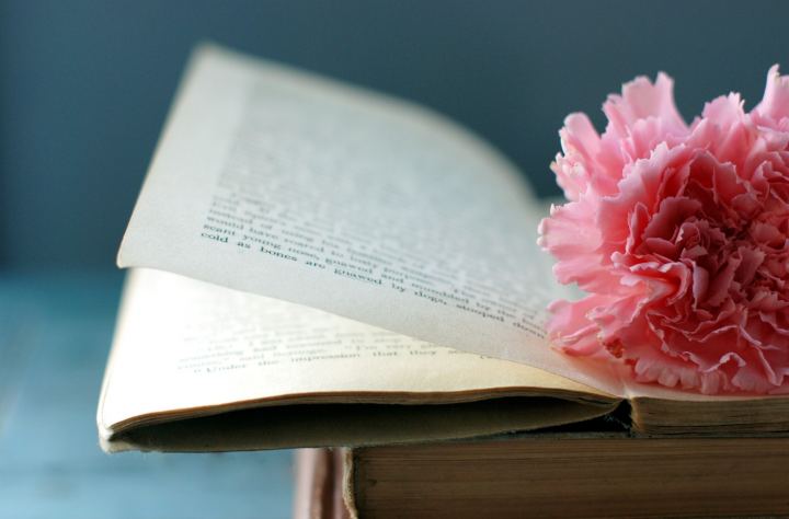 Flower On The Book