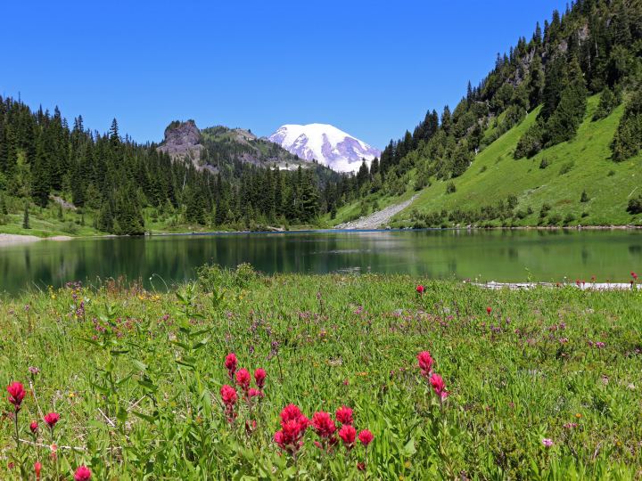 Beautiful Picturesque Landscape By A Mountain Lake